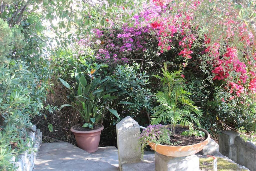 Apartament Casa Letizia Taormina Zewnętrze zdjęcie